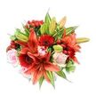 Seen from a gentle overhead angle against a crisp white background, this lush, hand-tied bouquet reads like a neighbourhood celebration: broad, fiery orange-red Asiatic lilies form the dramatic heart, some petals fully recurved and speckled with dark flecks while a few still sit in tight, promising buds. Surrounding them are saturated crimson Gerbera daisies with their distinctive dark centers and radiating petals, punctuating the composition with bold, circular rhythm. Soft blush-pink roses, from delicate tight buds to more open rosettes, thread a quiet, romantic counterpoint through the arrangement, their velvety petals offering a tactile softness beside the lilies' papery texture. Clusters of glossy red hypericum berries catch the light like small jewels, adding festive sparkle and a contrasting roundness against the petals. The bouquet is lavishly filled with varied green foliage - broad, solid leaves that provide a rich, grounding backdrop and a few variegated sprigs with pale green-and-white streaks that lend depth and lively contrast. The overall silhouette is full and rounded, demonstrating careful layering and attention to sightlines so each bloom breathes yet contributes to the whole. In soft daylight the colours read warm and uplifting - a combination of spicy, sweet floral scent and the faint, green crispness of fresh foliage. I imagine this arrangement brightening a mantel on a birthday morning or arriving as a heartfelt anniversary surprise after a stroll past Golders Hill Park or the local market on Golders Green Road. It's a confident, joyful composition that honors classic shapes while feeling modern and immediate.