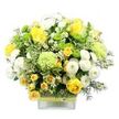 A striking, colour-rich bouquet overflows from a modern, clear square glass vase, shaped into a rounded, generous dome that seems to hover like a soft, floral cloud against the bright white background. At its heart, rich yellow roses glow warmly, each rose layered with velvety petals that spiral inward, some fully open like small suns, others still gently closed, hinting at blooms yet to unfold. Smaller yellow spray roses are threaded throughout, their clusters adding charm and an almost storybook abundance, as if freshly picked from a well-loved garden in Golders Green. Around and between the roses, white pompom chrysanthemums form pillowy, spherical shapes, their hundreds of tiny petals giving a plush, tactile depth that contrasts beautifully with the smoother rose petals. Vivid lime green button chrysanthemums, tiny and globe-like, peep out playfully, while larger, frilled pale-green blossoms-resembling ruffled carnations or decorative green mums-introduce a cool, refreshing note that balances the warmth of the yellows. The entire arrangement is supported by a rich bed of greenery: glossy deep green leaves, variegated foliage with light, creamy edges, and more delicate, feathery stems that give a sense of movement and natural ease. Fine, star-shaped white filler flowers are sprinkled delicately throughout, adding lightness and a whisper of meadow-like charm. The glass vase reveals the clean, trimmed stems, and its centre is wrapped with a band of rustic, textured material, perhaps bark or woven fibre, finished neatly with a lime-toned ribbon that echoes the bouquet's green accents. This arrangement feels bright, hopeful, and revitalising-perfect for a spring celebration near Brent Cross, a cheerful thank-you delivered to an office off Finchley Road, or a simple way to bring a sense of fresh, local floral design into a Golders Green home.