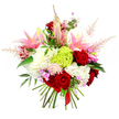 A rich, romantic bouquet is captured against a pure white background, each flower standing out with striking clarity, as if freshly arranged for delivery to a home near Golders Green Road. At its core are several deep crimson roses, their velvety petals forming perfect spirals that speak of passion and timeless love. Around them, elegant pink lilies rise and unfold, some already open in broad, star-shaped blooms revealing pale centres and prominent stamens, while others remain as smooth, tapered buds, suggesting gentle fragrance yet to emerge. Supporting these main blooms are full, ruffled white flowers-likely luxurious carnations or garden-style roses-that create a plush, clouded base, lending the arrangement an opulent, cushion-like fullness. The eye is naturally drawn to a single, spherical cluster of lime green dianthus or Green Trick carnation at the centre, its richly textured, almost moss-like surface bringing a playful, modern edge and a refreshing hint of spring greenery. Feather-light plumes of soft pink astilbe extend from within the bouquet, arching gracefully outward and adding a sense of movement and airy softness. Threaded between the larger stems are tiny blossoms in shades of fuchsia and lavender, adding little bursts of colour that invite closer inspection. Deep green foliage peeks through at intervals, grounding the vibrant palette and enhancing the sense of natural freshness. The stems at the base are gathered neatly and tied with a slender ribbon of deep red satin, emphasising the hand-tied craftsmanship a local Golders Green florist would pride themselves on. The overall mood is one of joyful celebration and heartfelt emotion, perfect for anniversaries, birthdays, Valentine's surprises, or simply brightening a living room overlooking the quiet residential streets of NW11.