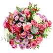 Aerial view of a romantic, hand-tied bouquet, styled in a full, circular shape and photographed on a bright white background so every shade and texture is clearly visible. The composition is dominated by open, velvety roses in shades of deep fuchsia, rose pink, and gentle blush, some petals washed at the edges with a creamy tone that softens the overall look. Intertwined with them are delicate pink and peach-pink carnations, their many frilled petals adding movement and a nostalgic, almost vintage softness. Dotted between these larger blooms, small daisy-like chrysanthemums in playful lavender and light purple boast vivid lime-green centres that catch the eye and bring a sense of cheer. Cream and off-white blossoms sit quietly among the brighter flowers, creating breathing space and contrast without interrupting the romantic palette. Surrounding and weaving through the flowers, eucalyptus leaves in a silvery-green hue lend a cool, aromatic presence, while deeper green foliage gives the bouquet structure and a garden-fresh feel. Slender, reddish-toned variegated leaves thread around the edge, echoing the warm hues of late afternoon light that you might notice wandering through the quieter streets of Golders Green. The bouquet feels like a joyful celebration of spring and early autumn combined, rich yet gentle, perfect for a birthday surprise, a thank-you, or a heartfelt gesture of affection. It is easy to imagine this arrangement being delivered to a doorstep near Golders Green station or tucked onto a windowsill overlooking North End Road, filling the room with colour and quiet happiness.