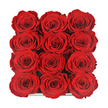 In this photograph, the viewer looks straight down onto an exquisitely ordered arrangement of twelve red roses, gathered so closely that their petals touch, forming a continuous field of velvety crimson. The roses are set in a perfect 3 by 4 layout inside a dark, understated box whose slim, reflective rim peeks out only at the very bottom, emphasizing the blooms as the sole focus. Each rose appears at the same stage of flowering, fully open yet flawlessly shaped, with tightly layered petals curling inward in elegant spirals. The colour is a deep, romantic red, the kind of intense hue you might associate with a Valentine's delivery arriving at a townhouse off Golders Green Road, glowing softly under indoor light. Subtle variations of light and shade sweep across the petals, picking out delicate edges and sinking into the shadows at their centres, creating depth without disturbing the overall symmetry. There is no greenery or filler, just the minimalist luxury of red upon red, which makes the arrangement feel both contemporary and timeless. You can almost imagine the gentle, classic rose fragrance drifting up when the box is first opened, the surprise and quiet joy of the recipient as they lift the lid in a home near Golders Hill Park or Hampstead Garden Suburb. As a florist, one recognizes the careful selection behind this design: matching head sizes, aligning stems so every rose faces upward, and creating that sense of lush abundance. The image evokes devotion, enduring romance, and the promise of a moment that will be remembered long after the day itself has passed.