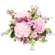 A sumptuous bouquet in soft pinks and lilacs fills the frame against a crisp white background, its fullness and texture immediately drawing the eye. At the core, three generous, rounded heads of pale pink hydrangea create a plush, cloud-like centre, each bloom made up of countless tiny petals that overlap like silk ruffles. Surrounding these are elegant blush roses, some fully unfurled to reveal their intricate spirals, others still cupped as buds, which lend the arrangement a sense of gentle unfolding and quiet romance. Threaded through the hydrangea and roses are fine clusters of deeper magenta and fuchsia waxflower or similar tiny, starry blossoms, their bright tones adding lively accents and their slender stems giving a sense of light movement, as if caught by a breeze drifting up from the shops and cafés around Golders Green station. Smaller pink flowers with simple, five-petalled faces soften the transitions between the larger blooms, suggesting the spontaneity of a garden border you might pass near Golders Hill Park. From the edges, slim stems bearing bell-shaped campanula in soft lavender and periwinkle blue extend gracefully, introducing a cool, airy note that keeps the pink palette from feeling too sweet and brings a hint of whimsy, like distant bells chiming over Hampstead Garden Suburb. Lush green foliage is tucked throughout, providing depth, structure, and a fresh-from-the-garden feeling. Overall, the bouquet conveys tenderness and celebration, perfectly suited to a birthday brunch in a Golders Green townhouse, an anniversary surprise, or a same-day delivery that brings a little springtime magic into a North West London living room.