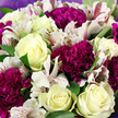 This photograph captures a sumptuous bouquet at close range, the frame entirely filled with blooming flowers and foliage, as if you were standing right in front of a local counter in Golders Green and leaning in to admire the details. Prominent among the flowers are several creamy white roses, their petals layered in gentle spirals that unfurl outward from tightly curled centers to more open, cup-shaped forms. Some roses reveal a whisper of pale yellow deep inside, adding just enough warmth to soften the cool ivory tones. Nestled against them, plush carnations in deep magenta and rich purple lend an opulent feel, their intricate, ruffled petals stacked and folded so densely they look almost like soft velvet cushions. Breaking up these bolder colours are refined white alstroemeria blossoms, each with slender, slightly flared petals that are finely streaked and speckled with shades of pink and burgundy, giving a sense of careful artistry. The entire design is threaded with lush greenery, broad, glossy leaves emerging between blooms to create depth and a natural, just-picked-from-the-garden look that recalls the leafy streets and small front gardens around Golders Green and Temple Fortune. A veil of muted lavender wrapping material is just visible at the perimeter of the bouquet, encircling the arrangement like a gentle frame that echoes the purple carnation tones. The lighting feels soft and even, allowing every petal, vein, and curve to be seen clearly, while maintaining a romantic, almost contemplative atmosphere. This bouquet suggests a message of appreciation and reassurance, perfect for same-day delivery to a loved one nearby-perhaps to lift someone's spirits, mark a birthday tea at home, or simply bring a little everyday luxury into a familiar Golders Green living room.