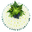 A round, cushion-style funeral tribute dominates the image, photographed from directly above so that the viewer can see the full circle of flowers laid out against a plain white background. The base is entirely covered with small white chrysanthemums, likely spray or cushion varieties, placed so closely together that they form a seamless surface of soft petals, reminiscent of freshly fallen snow. Each flower reveals a tiny, pale green centre, which adds a gentle hint of life and warmth to the otherwise pure white expanse. Along the outer rim, an emerald green satin ribbon is folded and pinned into delicate pleats, creating a scalloped border that crisply defines the edge of the tribute and introduces a rich band of colour. Towards the upper centre, a carefully constructed focal cluster brings depth and individuality. A vivid lime-green spider chrysanthemum, with its thin, elongated petals splaying outward, provides a dramatic centre. It is surrounded by bright green Hypericum berries, glossy and round, interwoven with dark green fern fronds and various textured foliage that build a layered, natural look. Two distinct Scottish thistles sit proudly within this greenery, their spiky, globed heads in dusty blue and violet tones adding striking contrast and a sense of heritage. The overall feeling is calm, cool, and dignified, appropriate for a memorial gathering at Golders Green Crematorium or a quiet family farewell nearby. Crafted by skilled local florists, this tribute speaks of remembrance, respect, and perhaps a cherished connection to Scotland, all expressed through thoughtful flowers.