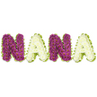This image shows a lovingly handcrafted sympathy tribute spelling out the name NANA in large, three-dimensional letters set against a crisp white backdrop. Each letter is densely surfaced with hundreds of small chrysanthemum-like blooms so tightly packed they read as a plush, sculpted texture: the two N letters are composed of rich, deep magenta to plum chrysanthemums with their tiny, sunny yellow centers peeking like quiet notes of light, while the alternating A letters are fashioned from soft, creamy white chrysanthemums that lend a cool, gentle calm to the composition. Every letter is finished with an undulating, lime-green border-pleated ribbon or closely arranged foliage-that frames the florals and introduces a fresh, hopeful edge, the green catching the light and creating a delicate outline against the white. The arrangement sits as a traditional funeral tribute, its weight and three-dimensional presence intended to rest on an easel or table at a wake, memorial service or graveside; the tidy, readable forms are chosen to convey unequivocal love and respect for a grandmother or matriarch. You can almost sense the faint, clean scent of chrysanthemum and the soft yielding of petals under fingertips, and in soft morning or chapel light the contrast between the deep mauve and pure white feels reverent rather than ornate. As a local florist I picture this piece delivered with care in Golders Green and laid beside familiar memorial spaces such as Golders Green Cemetery or Golders Hill Park, a quiet, dignified tribute that speaks of family, memory, and thoughtful craftsmanship.